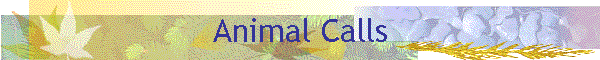 Animal Calls