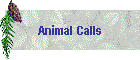 Animal Calls