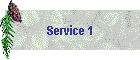 Service 1