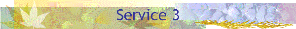 Service 3
